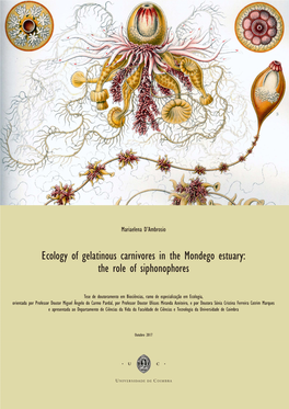 Ecology of Gelatinous Carnivores in the Mondego Estuary: the Role of Siphonophores