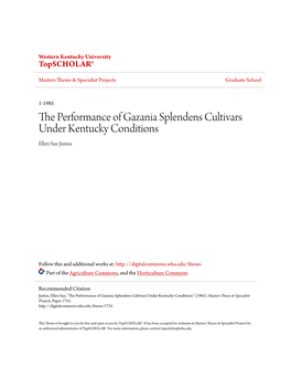 The Performance of Gazania Splendens Cultivars Under