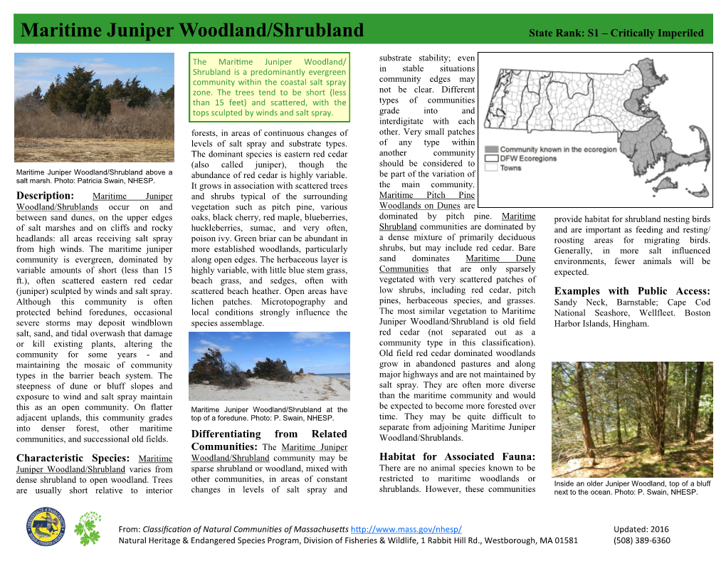 Shrubl Maritime Juniper Woodland/Shrubland