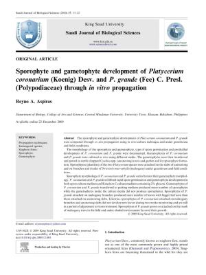 Sporophyte and Gametophyte Development of Platycerium Coronarium (Koenig) Desv
