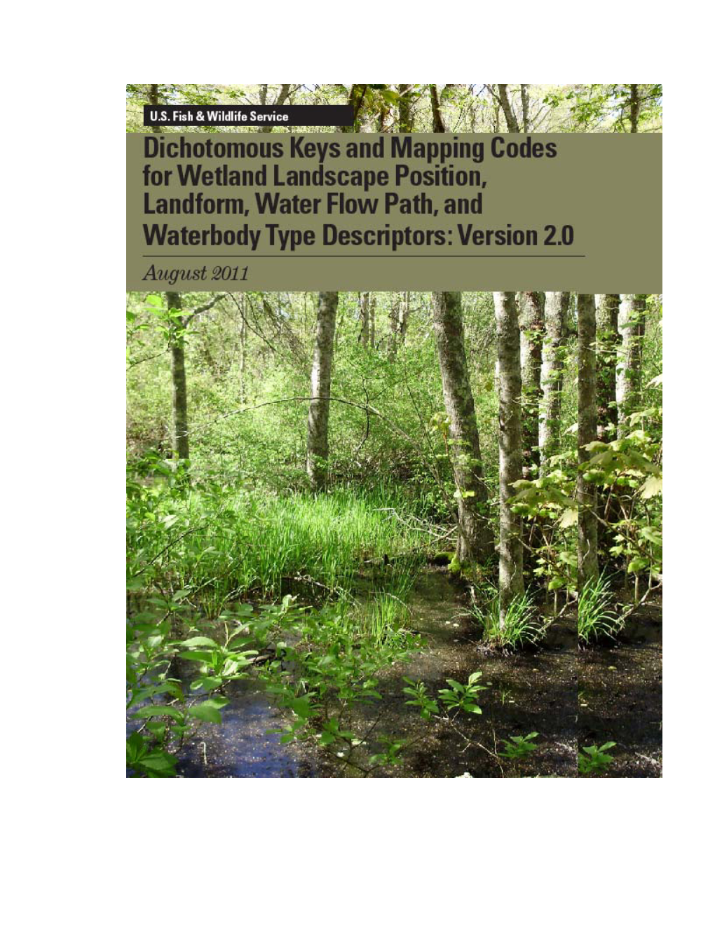 Dichotomous Keys and Mapping Codes for Wetland Landscape Position, Landform, Water Flow Path, and Waterbody Type Descriptors: Version 2.0