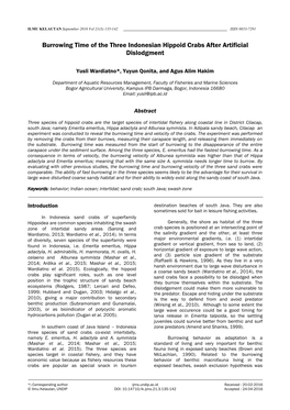 Burrowing Time of the Three Indonesian Hippoid Crabs After Artificial Dislodgment