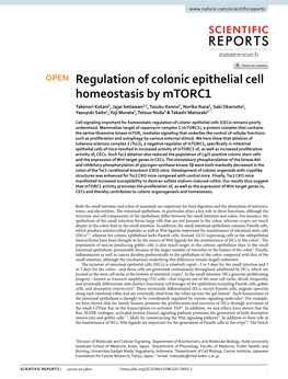 Regulation of Colonic Epithelial Cell Homeostasis by Mtorc1