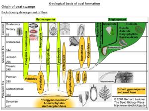 Geological Basis of Coal Formation Origin of Peat Swamps Evolutionary Development of Flora