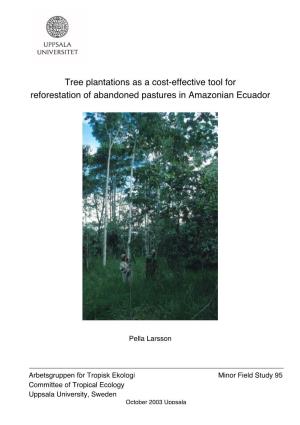 Tree Plantations As a Cost-Effective Tool for Reforestation of Abandoned Pastures in Amazonian Ecuador