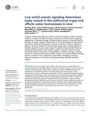 Low Wnt/B-Catenin Signaling Determines Leaky Vessels in The