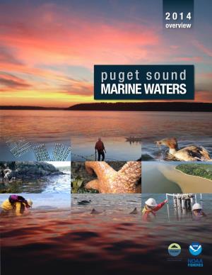Marine Waters Puget Sound
