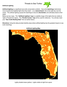 Threats to Sea Turtles Artificial Lighting