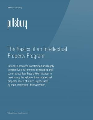 The Basics of an Intellectual Property Program