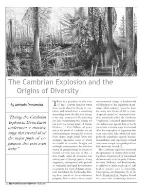 The Cambrian Explosion and the Origins of Diversity