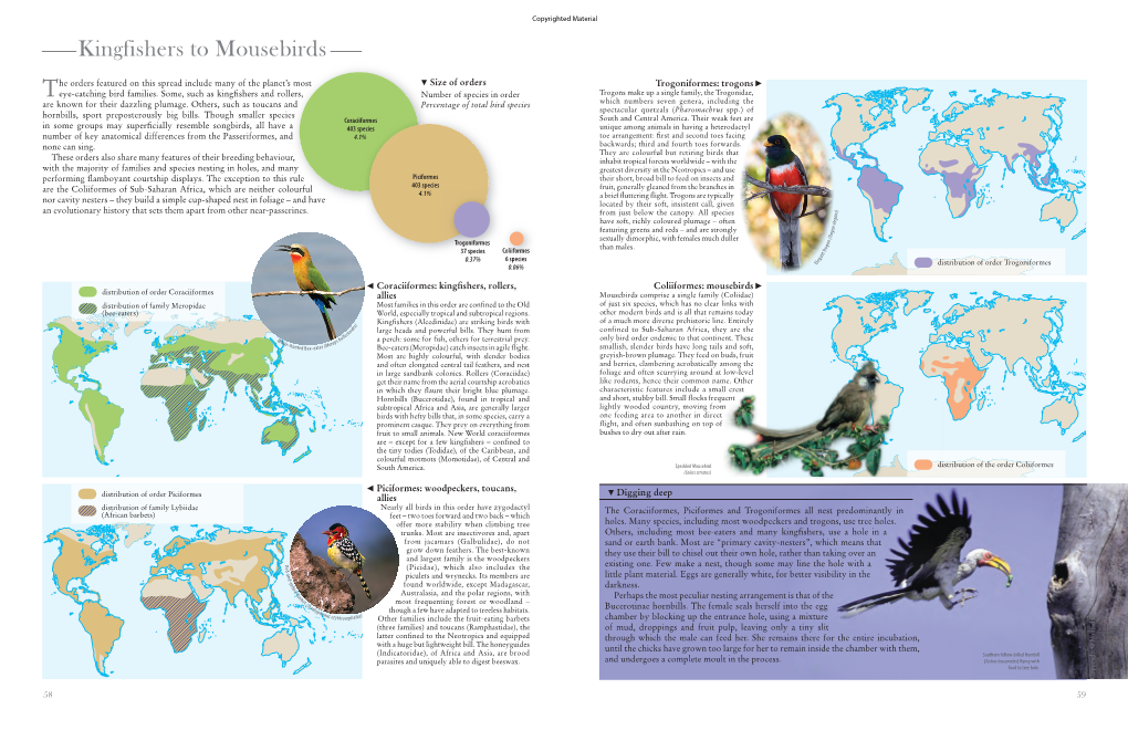 Kingfishers to Mousebirds