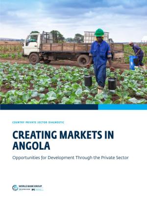 Creating Markets in Angola : Country Private Sector Diagnostic
