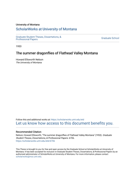The Summer Dragonflies of Flathead Valley Montana