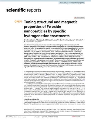 Tuning Structural and Magnetic Properties of Fe Oxide Nanoparticles by Specifc Hydrogenation Treatments S