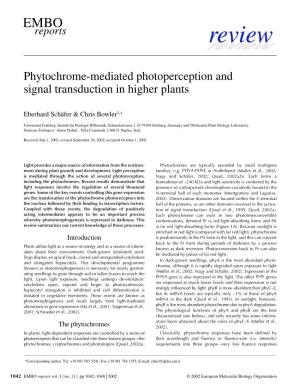 Phytochrome-Mediated Photoperception and Signal Transduction in Higher Plants