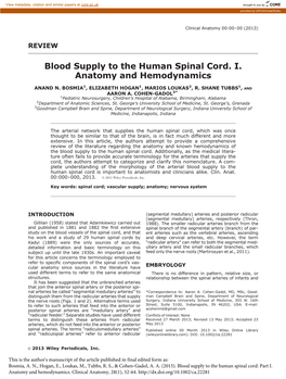 Blood Supply to the Human Spinal Cord. I. Anatomy and Hemodynamics