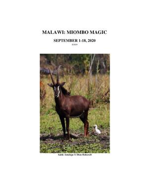 Malawi: Miombo Magic September 1-18, 2020 ©2019