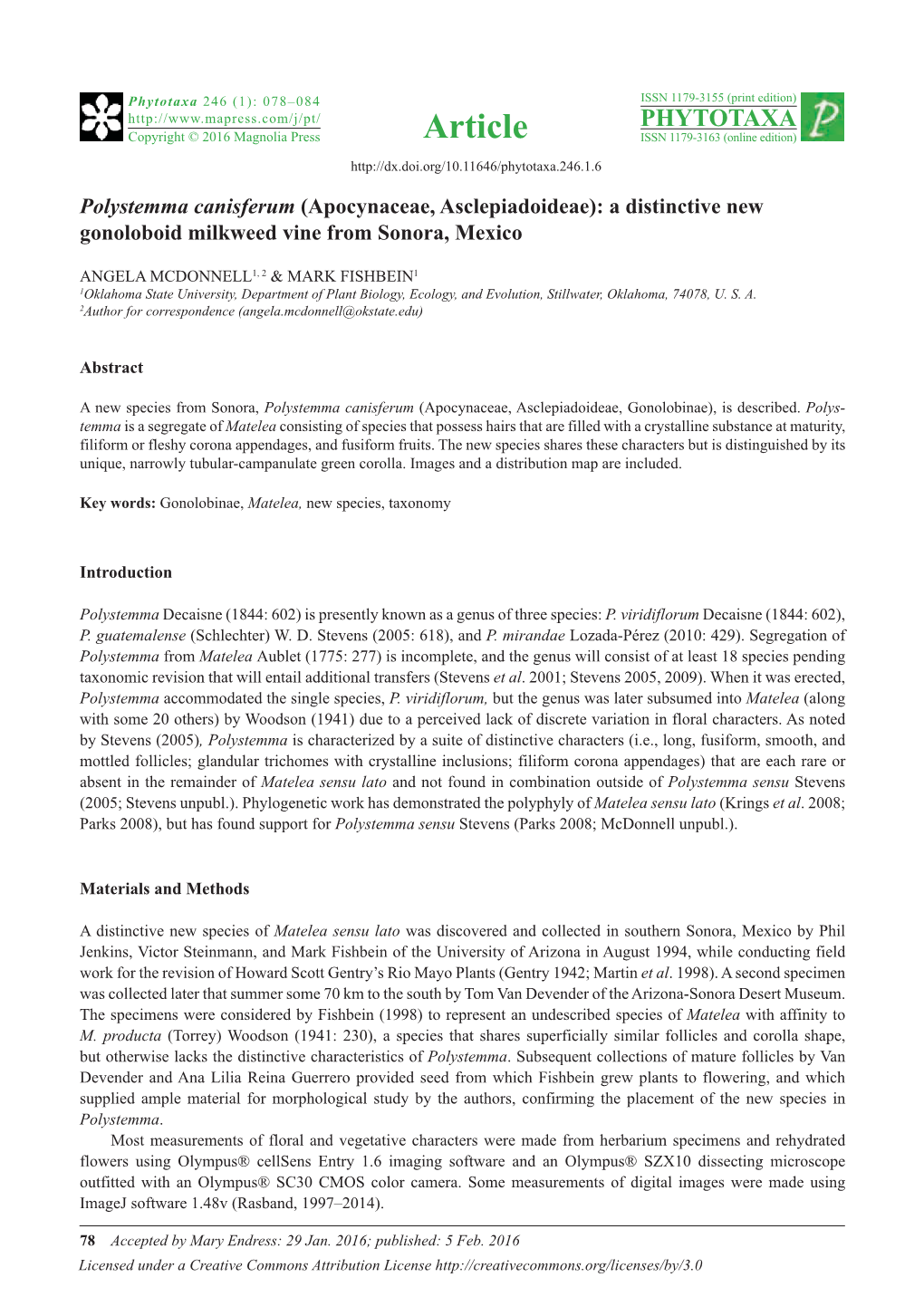 Polystemma Canisferum (Apocynaceae, Asclepiadoideae): a Distinctive New Gonoloboid Milkweed Vine from Sonora, Mexico