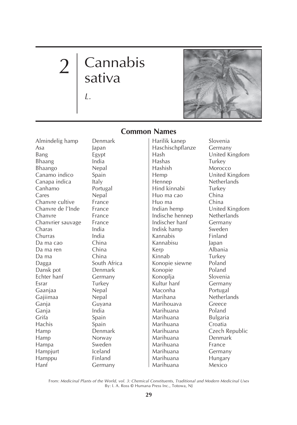 2 Cannabis Sativa L