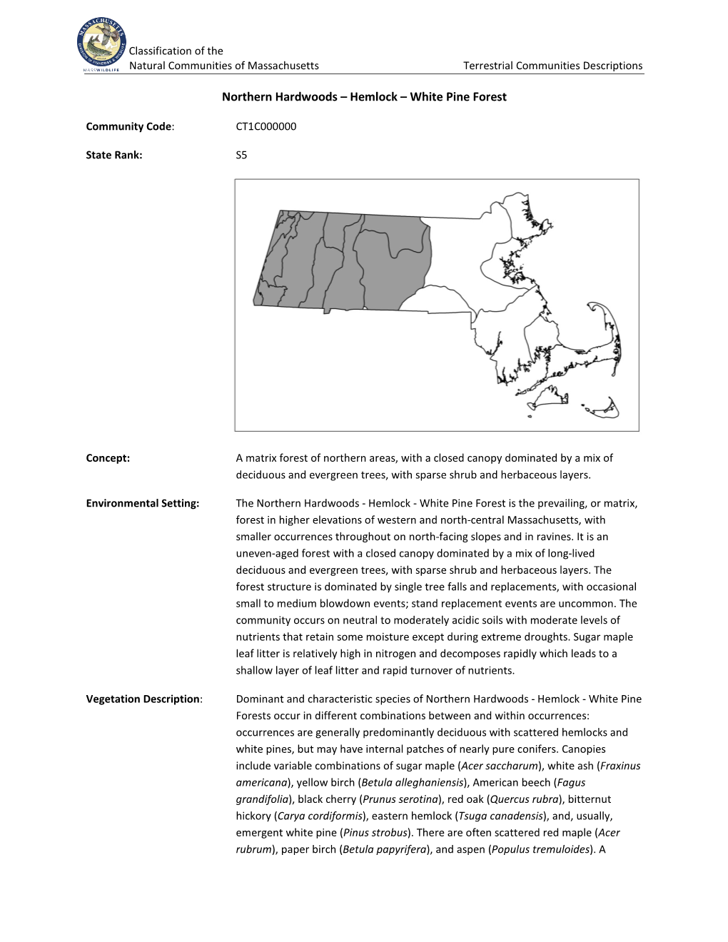 Northern Hardwoods – Hemlock – White Pine Forest