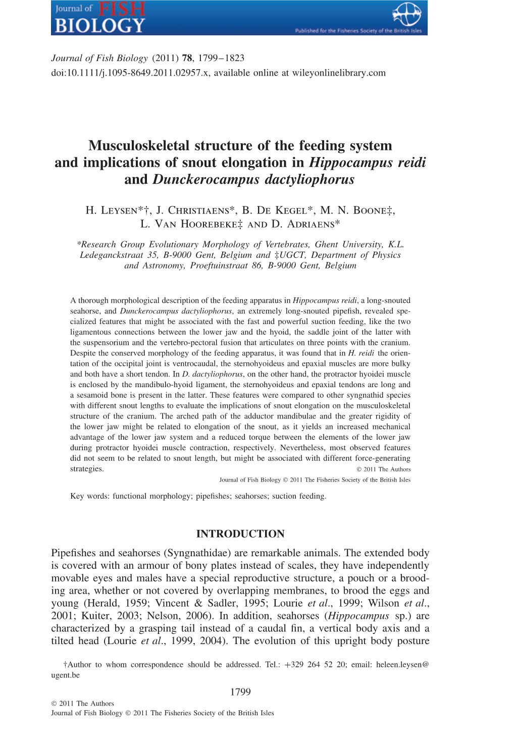 Musculoskeletal Structure of the Feeding System and Implications of Snout Elongation in Hippocampus Reidi and Dunckerocampus Dactyliophorus