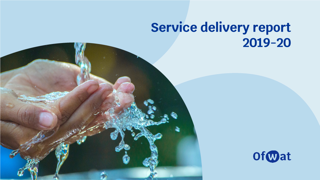 Service Delivery Report 2019-20 Introduction