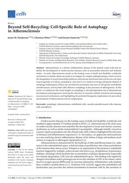 Cell-Specific Role of Autophagy in Atherosclerosis