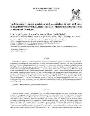 Understanding Copper Speciation and Mobilization in Soils and Mine Tailings from “Mineral La Aurora” in Central Mexico: Contributions from Synchrotron Techniques