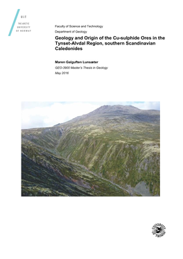 Geology and Origin of the Cu-Sulphide Ores in the Tynset-Alvdal Region, Southern Scandinavian Caledonides
