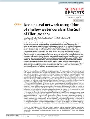 Deep Neural Network Recognition of Shallow Water Corals in the Gulf of Eilat (Aqaba) Alina Raphael1*, Zvy Dubinsky1, David Iluz1,3, Jennifer I