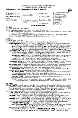 YEARLING, Consigned by Bumble Mitchell the Property of the Kathryn Stud Will Stand at Park Paddocks, Wall Box Z, Box 564