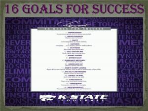 16 Goals for Success Were Made Public