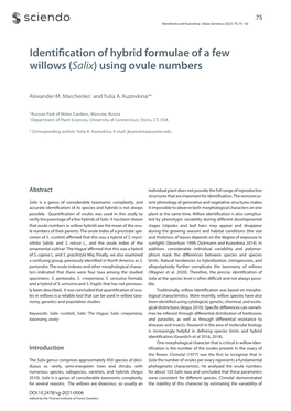 (Salix) Using Ovule Numbers