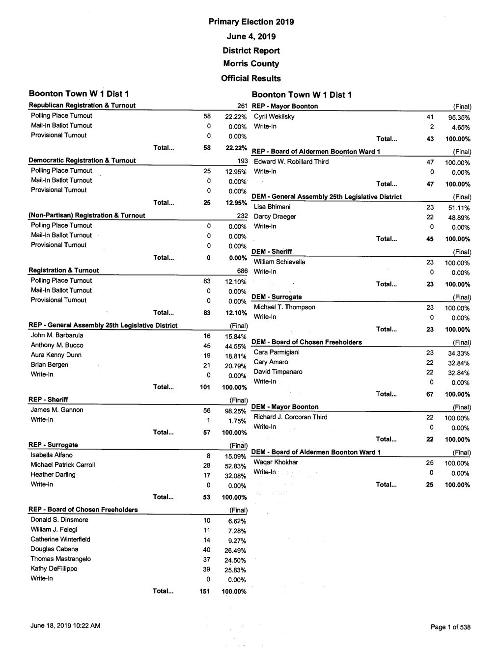 2019 Primary Election District Report