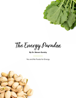 The Energy Paradox by Dr