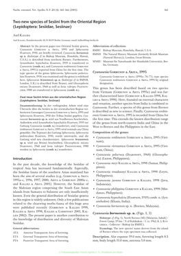 Two New Species of Sesiini from the Oriental Region (Lepidoptera: Sesiidae, Sesiinae)