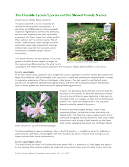 The Durable Lycoris Species and the Shared Variety Names