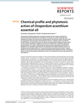 Chemical Profile and Phytotoxic Action of Onopordum Acanthium Essential