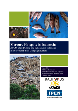 Mercury Hotspots in Indonesia ASGM Sites: Poboya and Sekotong in Indonesia IPEN Mercury-Free Campaign Report