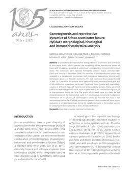 GAMETOGENESIS and REPRODUCTIVE DYNAMICS of Scinax Acuminatus Et Al