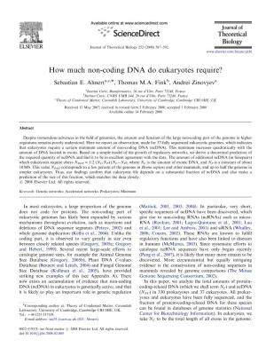 How Much Non-Coding DNA?