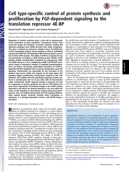 Cell Type-Specific Control of Protein Synthesis and Proliferation by FGF-Dependent Signaling to the Translation Repressor 4E-BP