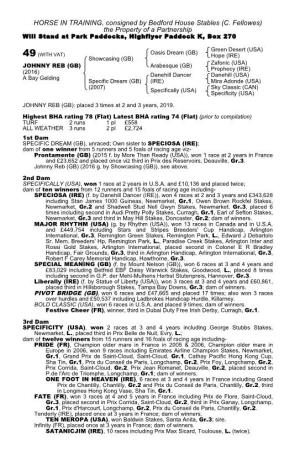 HORSE in TRAINING, Consigned by Bedford House Stables (C. Fellowes) the Property of a Partnership Will Stand at Park Paddocks, Highflyer Paddock K, Box 270