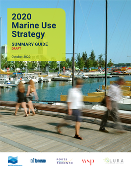 2020 Marine Use Strategy SUMMARY GUIDE DRAFT