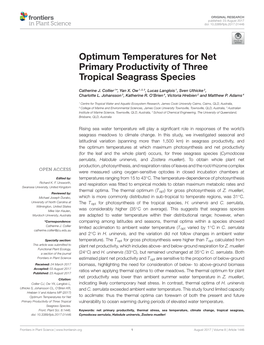 Optimum Temperatures for Net Primary Productivity of Three Tropical Seagrass Species