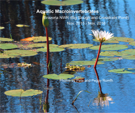 Aquatic Macroinvertebrates Brazoria NWR (Big Slough and Crosstrails Pond) Nov