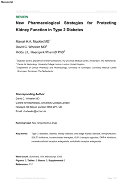 New Pharmacological Strategies for Protecting Kidney Function in Type 2 Diabetes