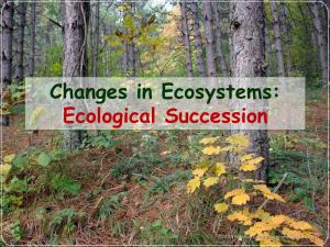 Changes in Ecosystems: Ecological Succession What Is Ecological Succession?