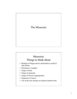 The Mesozoic Mesozoic Things to Think About