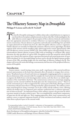The Olfactory Sensory Map in Drosophila Philippe P